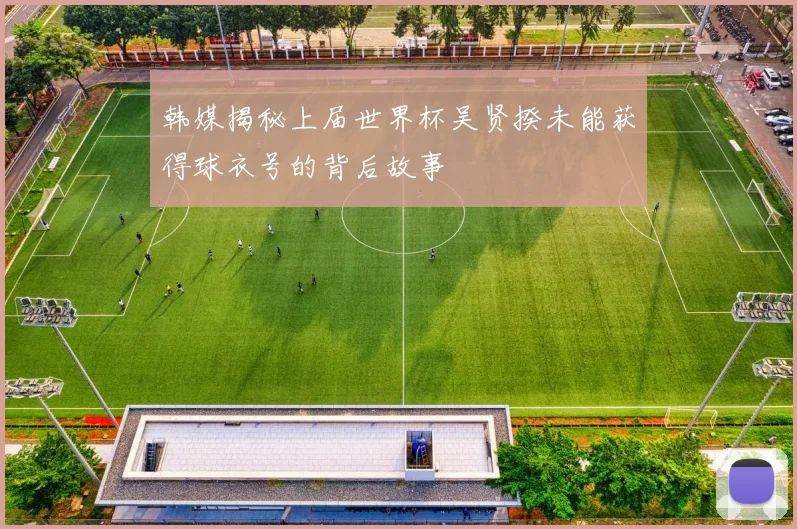 韩媒揭秘上届世界杯吴贤揆未能获得球衣号的背后故事