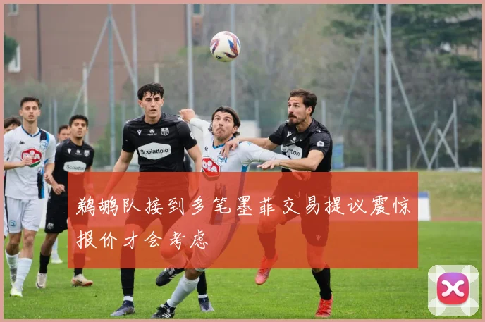鹈鹕队接到多笔墨菲交易提议震惊报价才会考虑